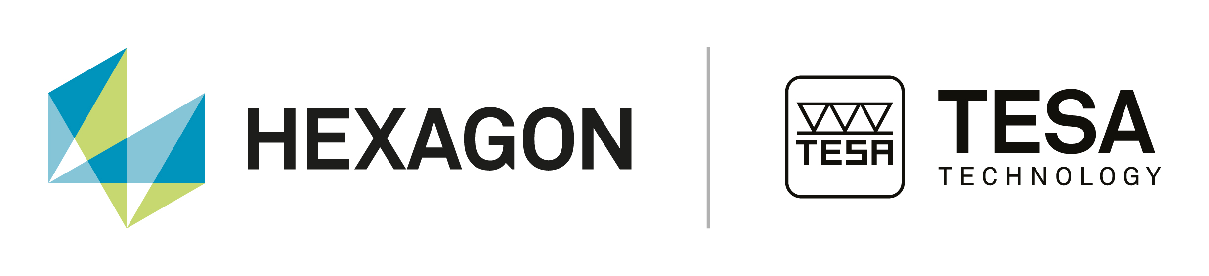 Tesa Technology Logo